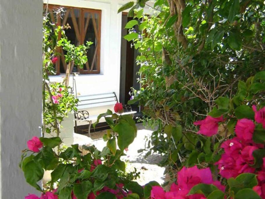 Alternative Space B & B Суакопмунд Екстериор снимка