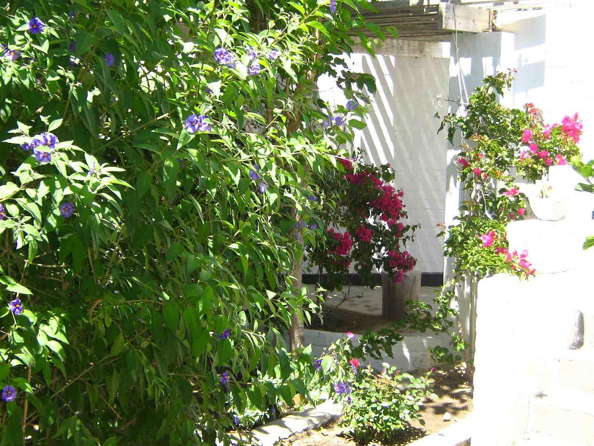 Alternative Space B & B Суакопмунд Екстериор снимка